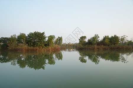 洪泽湖大闸蟹泗洪洪泽湖湿地公园背景