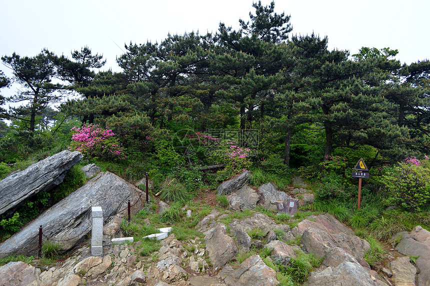 三山五岳之庐山图片