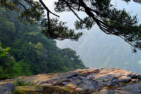 三山五岳之庐山背景