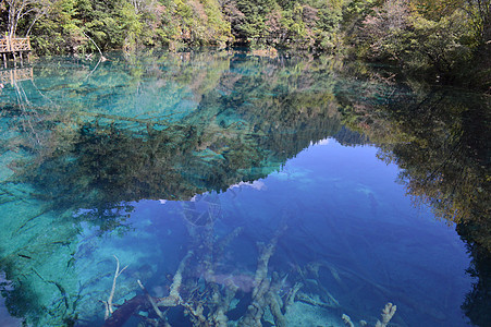 四川九寨沟风光图片