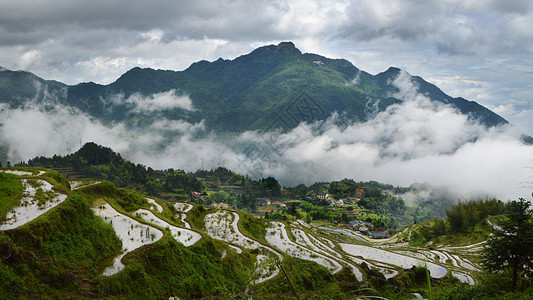 丽水云和梯田背景图片