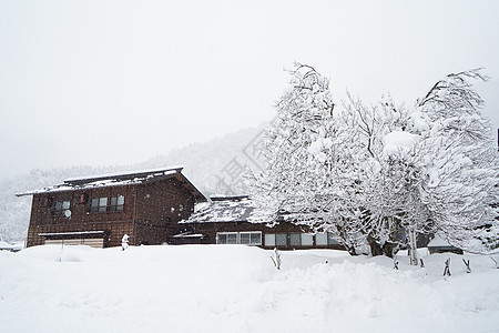 日本白川乡雪景图片