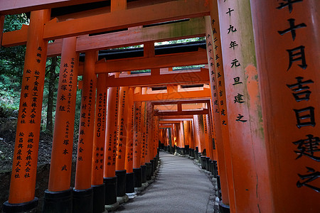 日本鸟居日本京都伏见稻荷大社背景