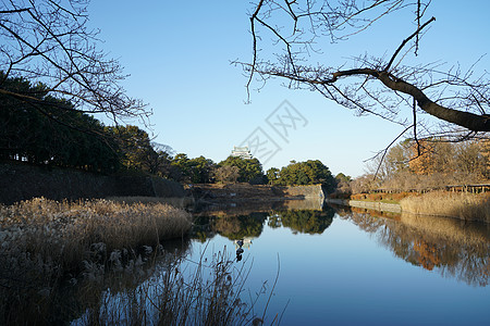 日本名古屋传统寺庙图片