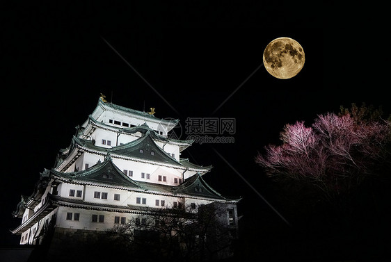 日本名古屋天守阁夜景图片