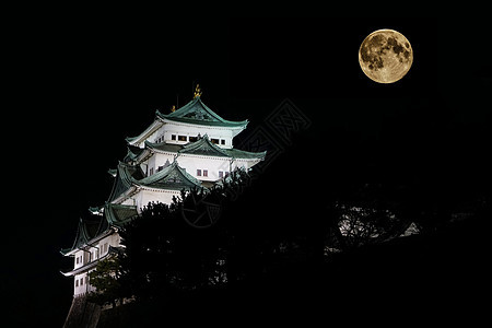 日本名古屋天守阁夜景背景图片