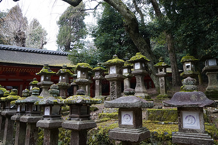 日本奈良平城宫药师寺图片