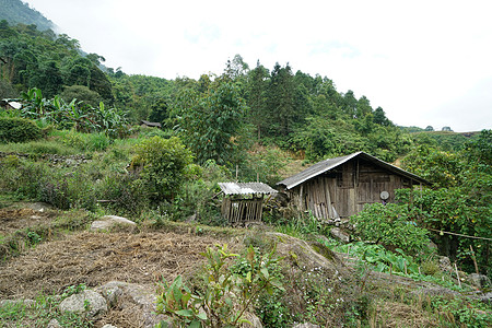 越南沙坝田园风光图片