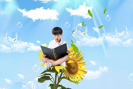 坐在向日葵上读书的男孩图片