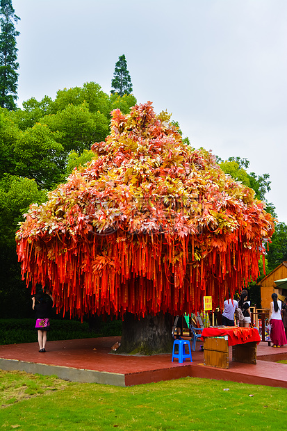 江苏六大著名风景区之狼山许愿树