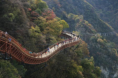 陕西少华山国家森林公园背景图片