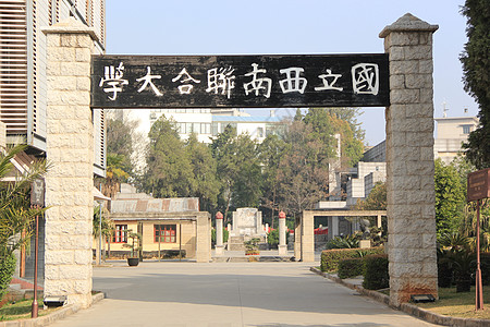 国立中山大学国立西南联合大学背景