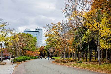 日本秋天的街道图片