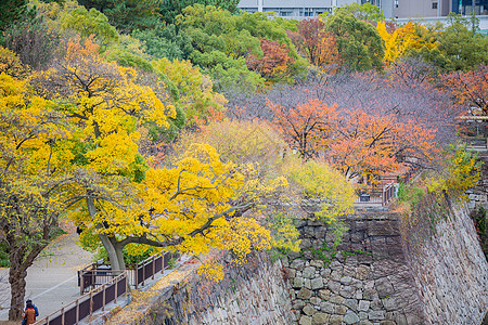 日本大阪城秋景高清图片