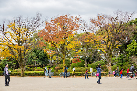 日本大阪城公园秋景图片