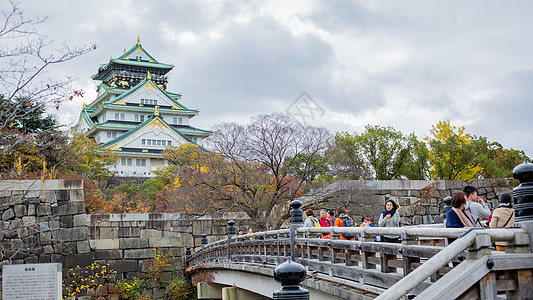 日本天守阁秋景图片