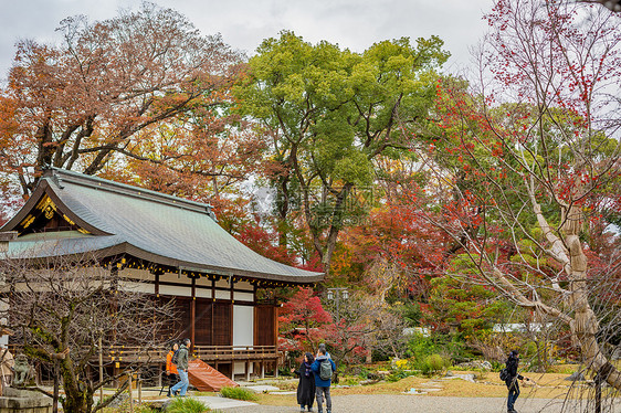 日本京都天龙寺秋景图片