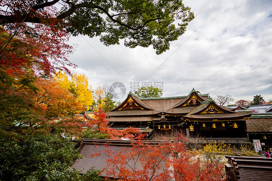 日本京都天龙寺风景图片