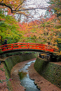 日本京都天龙寺风景高清图片