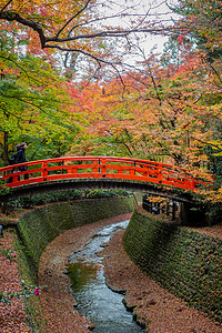 日本京都天龙寺风景图片