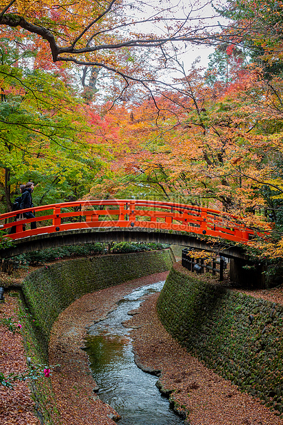 日本京都天龙寺风景图片
