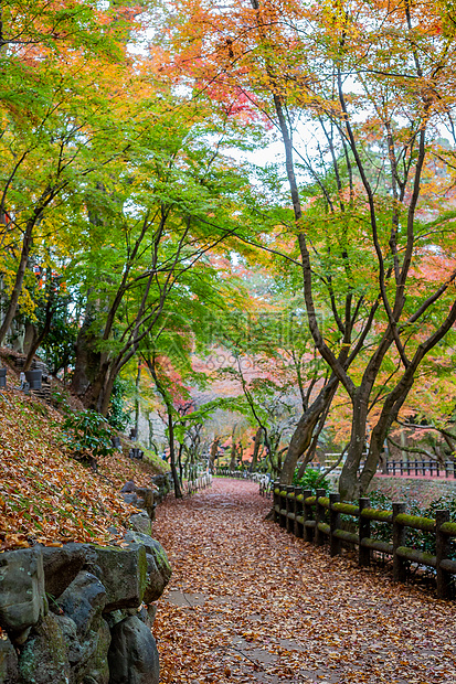 日本京都天龙寺风景图片