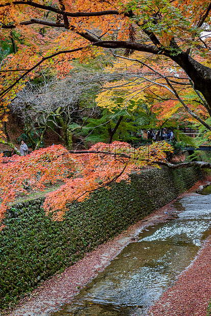 日本京都天龙寺风景图片