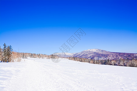 黑龙江雪乡洋草山背景