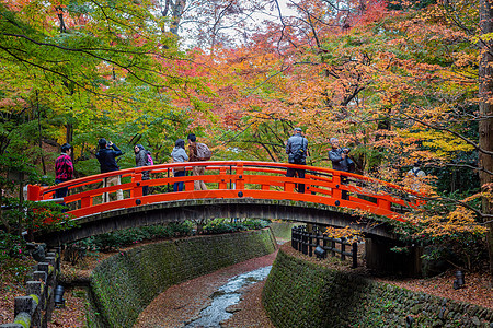 日本京都天龙寺风景红枫高清图片素材