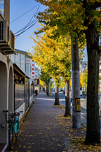 日本岚山秋景街道高清图片