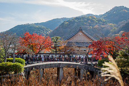 日本京都天龙寺秋景高清图片