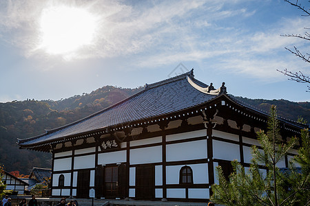 日本天龙寺风景图片