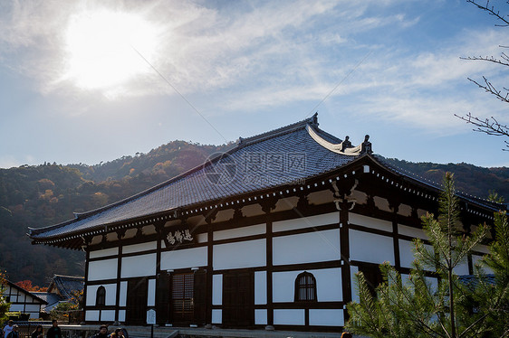 日本天龙寺风景图片