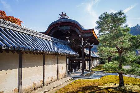 日本天龙寺风景图片