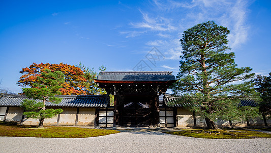 日本天龙寺风景图片