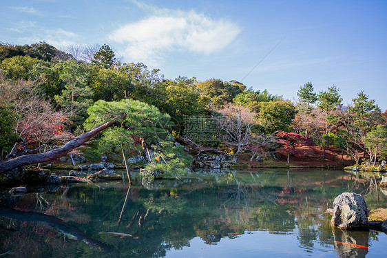 日本京都天龙寺秋景图片