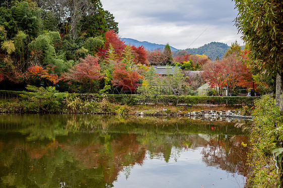 日本京都天龙寺秋景图片