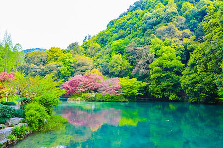 山水风景杭州九溪十八涧景区背景