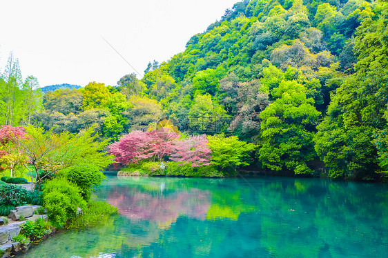 杭州九溪十八涧景区图片