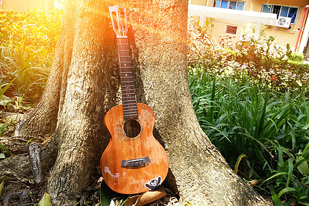 尤克里里乐器秋天立秋拿着小清新的尤克里里吉他去秋色唯美的田园草坪秋游背景