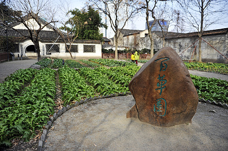 三味书屋百草园背景