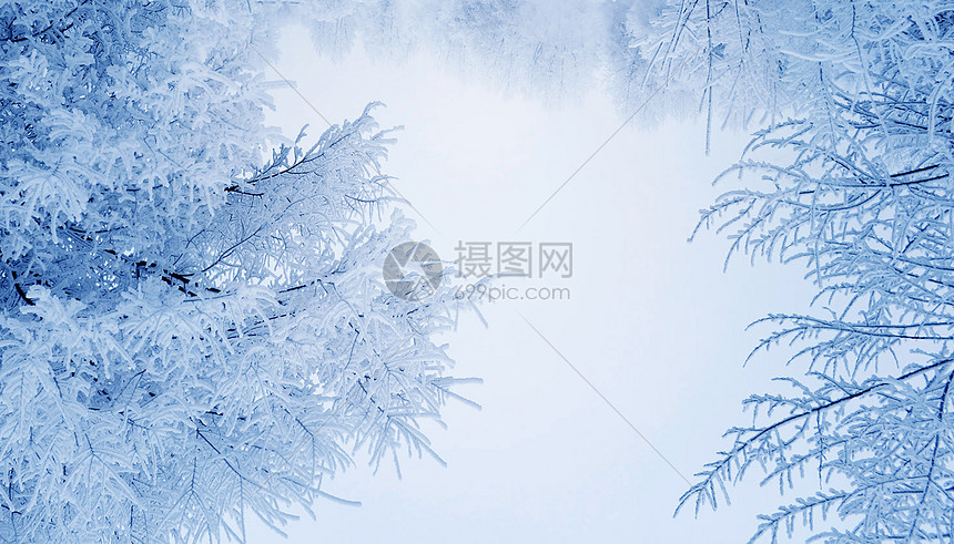 下雪图片