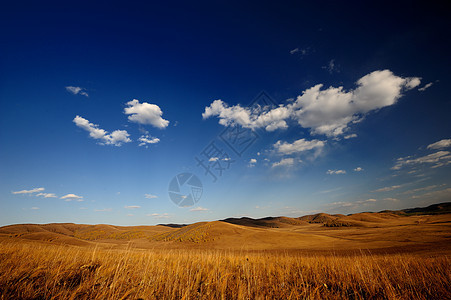 河北坝上草原背景图片