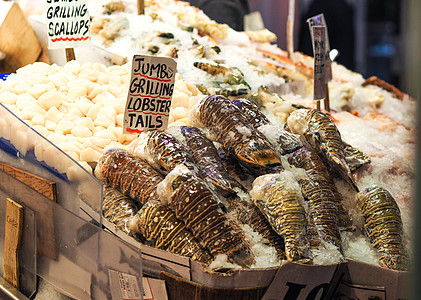 虎鲸派克美国西雅图派克市场海鲜龙虾尾背景