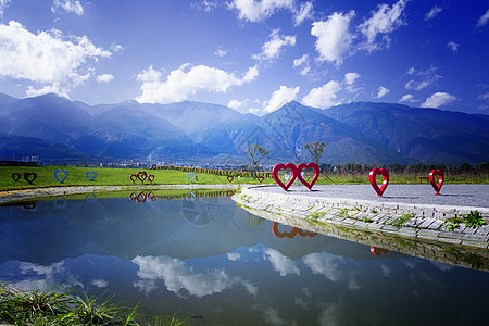 鲜花草原大理苍山鲜花背景