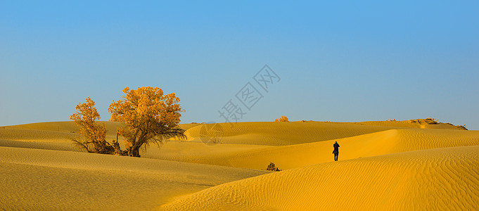 拍摄沙漠的摄影师背景图片