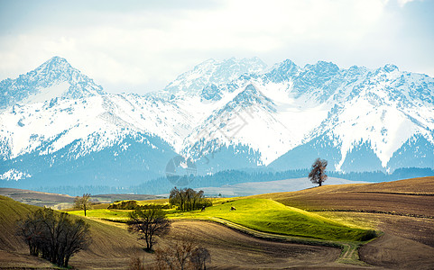 云雾中的山脉雪山下的农田背景