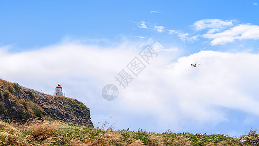 新西兰奥塔哥半岛海峡风光背景