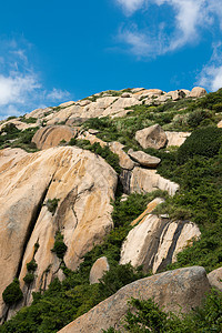 洋山风景图片