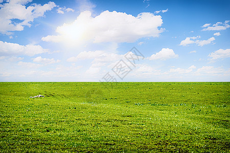 草场蓝天背景图片